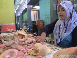 Harga Ayam Potong di Pasar Palembang Berbeda, Daya Beli Konsumen Rendah