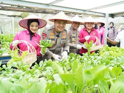 Kapolda Riau Panen Sayur Hidroponik Sukseskan Program Ketahanan Pangan