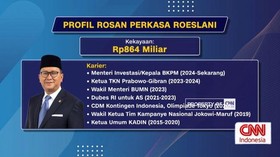 VIDEO: Rosan Roeslani, CEO BPI Danantara