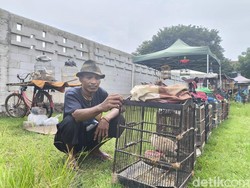 Cerita Surya, 13 Tahun Setia Jualan Burung di Pasar Ayam Cirebon