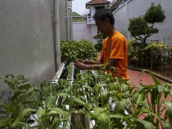 12.146 Napi Ikut Ketahanan Pangan di Lapas, Premi Capai Rp 902 Juta di 2025