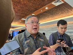 Penasihat Presiden Buka Suara soal Bos Danantara Rangkap Jabatan