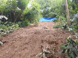 Tebing 35 Meter di Puncak Bogor Longsor, Sempat Tutup Jalan Raya
