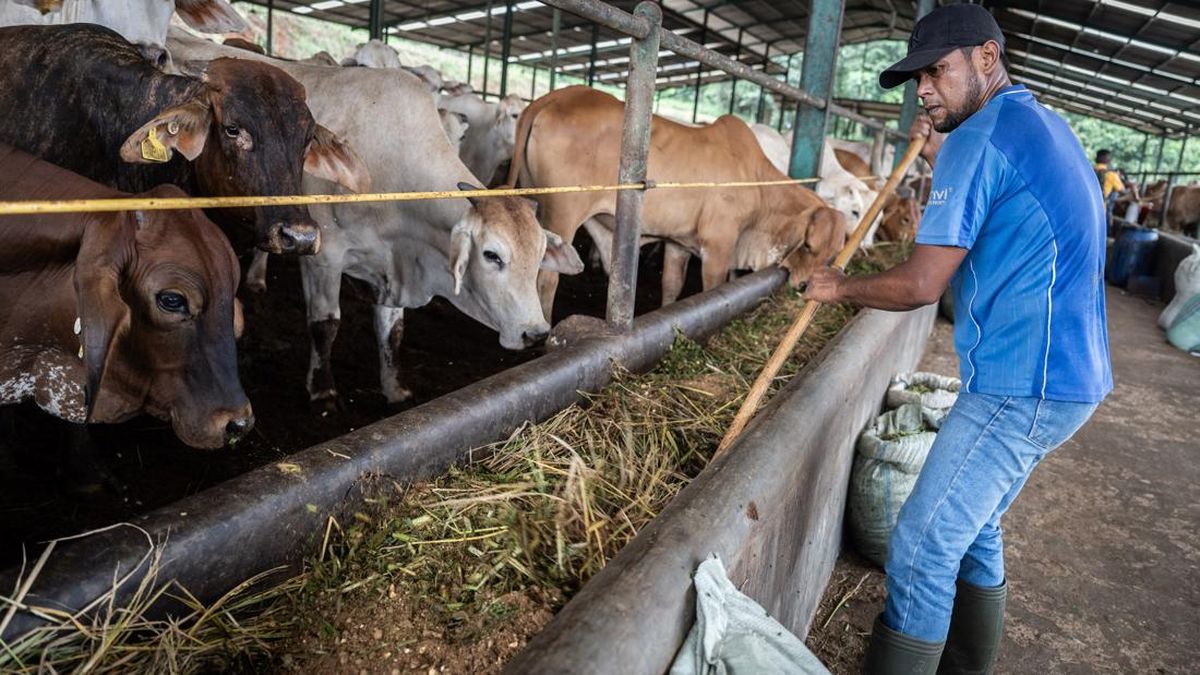 Eks Dirut Kebun Binatang Surabaya Jadi Tersangka Korupsi Pakan Satwa