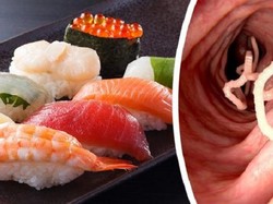 Ini Risiko Makan Sushi Menurut Dokter, Bisa Terjangkit Parasit!