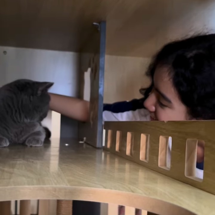 <p>Mengintip dari video yang diunggah Sheila, Leticia nampak terkejut ketika mendapatkan seekor kucing dari sang Ayah, Anji. Tidak hanya itu, ia juga mendapatkan kue ulang tahun menggemaskan dari Wina Talia. (Foto: Instagram: @itssheilamj)</p>