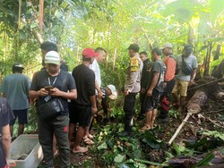 Seorang Nenek di Gianyar Jatuh ke Jurang, Nyawa Tak Tertolong