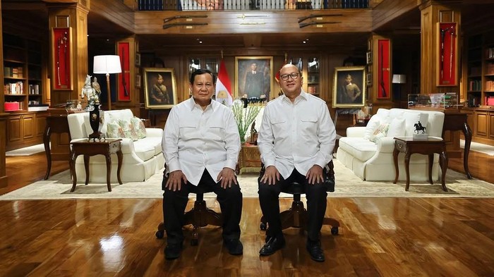 Profil Rosan Roeslani, CEO Danantara yang Miliki Harta Kekayaan Capai Rp860 Miliar