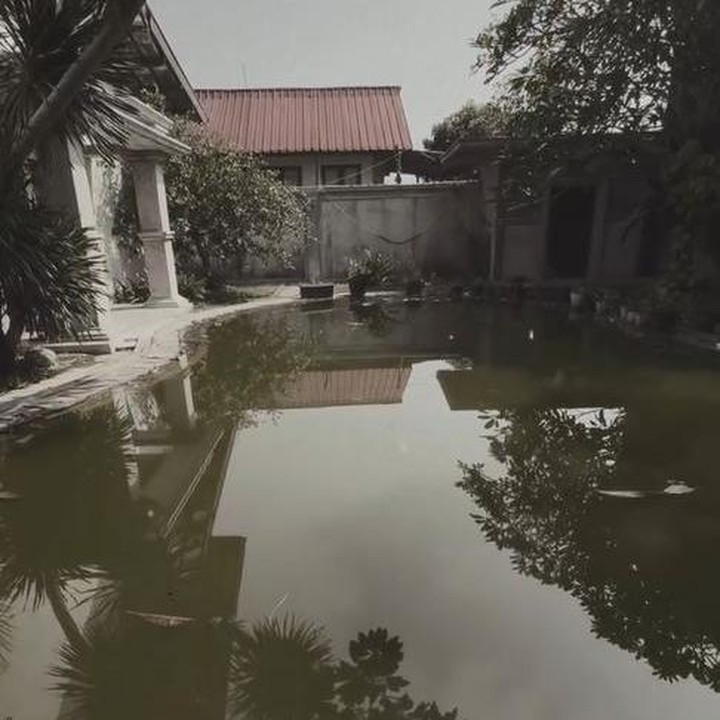 <p>Rumah milik Chua ini terlihat terbilang mewah karena memiliki kolam renang yang cukup besar. Namun karena tak digunakan untuk waktu lama, kolam renang yang berada di belakang rumah ini kotor. Pepohonan tinggi dan tidak terawat tumbuh di sekitar kolam renang. (Foto: Instagram @chuakotak)</p>