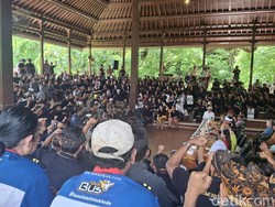 BEM Unud Sebut Layanan Trans Sarbagita Beda Jauh dengan Bus TMD