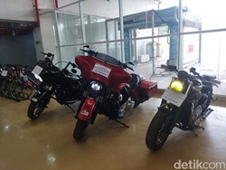 3 Moge Milik Rafael Alun-Eko Darmanto Dilelang, Begini Penampakannya