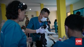 Dinas KPKP DKI Jakarta Tegaskan Tak Ada Iuran untuk BPJS Hewan
