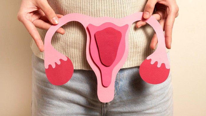 img-title Perempuan Wajib Tahu, Lakukan 6 Cara Ini untuk Menjaga Kesehatan Rahim
