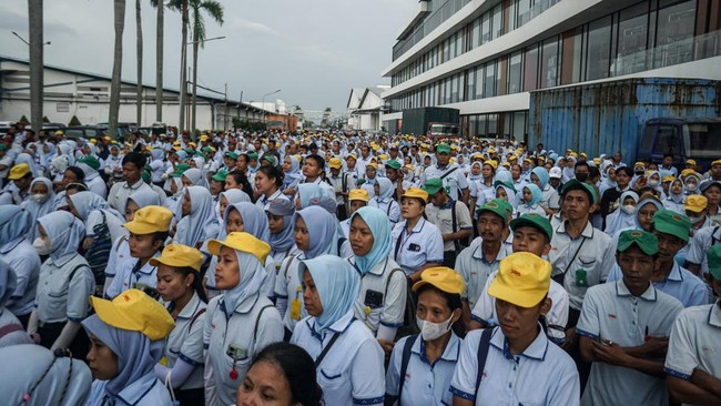 Tim Kurator Sritex akan mempekerjakan kembali sebagian karyawan yang terkena PHK untuk mengurus aset perusahaan selama proses likuidasi berlangsung.