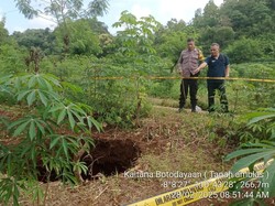 Geger Sinkhole Sedalam 10 Meter Muncul di Lahan Pertanian Gunungkidul