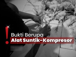 Pabrik Ayam Gelonggongan di Pasar Kebayoran Lama Beroperasi Sejak 2021