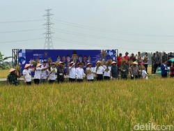 Pemred detikcom Tegaskan #DemiIndonesia Bukan Sekadar Seremoni