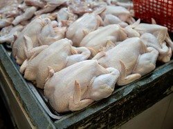 Harga Sembako Jogja Hari Ini 30 Mei 2025: Daging Ayam Naik Tipis