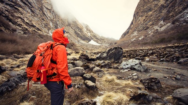 Carolina Wilga, backpacker Jerman, selamat setelah 11 hari tersesat di hutan terpencil Australia.