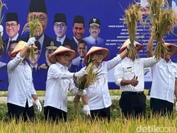 Menko Zulhas Sebut Pupuk Jadi Kunci Keberhasilan Swasembada Pangan