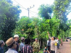 Pria Sumenep Teriak Takbir Sebelum Tewas Tersetrum di Atas Pohon