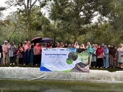 Lewat Rumah Pangan, PNM Ajak Warga Purwokerto Budi Daya Lele-Pepaya