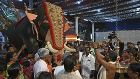 FOTO: Penampakan Robot Gajah Selama Ritual di Kuil India