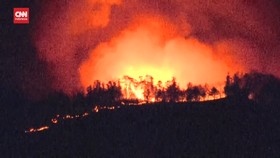 VIDEO: Penampakan Kebakaran Hutan di Jepang, Terburuk Sejak 1992