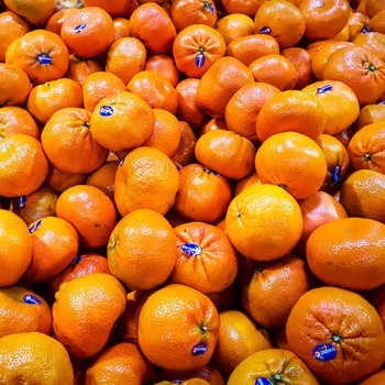 5 Tips Memilih Jeruk yang Manis dan Segar