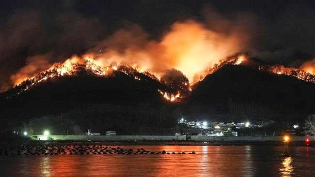 FOTO: Penampakan Kebakaran Hutan Terparah di Jepang dalam 3 Dekade