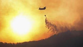 FOTO: Penampakan Kebakaran Hutan Terparah di Jepang dalam 3 Dekade