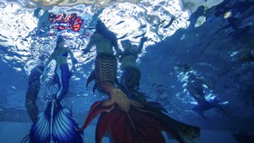 FOTO: Ketika Para Putri Duyung Berkumpul di Silver Spring