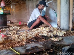 Kandang di Bono Klaten Terbakar, 4.000 Ayam Mati
