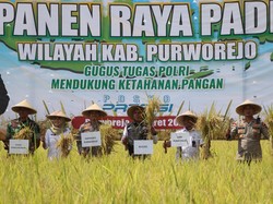 Dukung Ketahanan Pangan Nasional, Polres Purworejo Gelar Panen Raya Padi