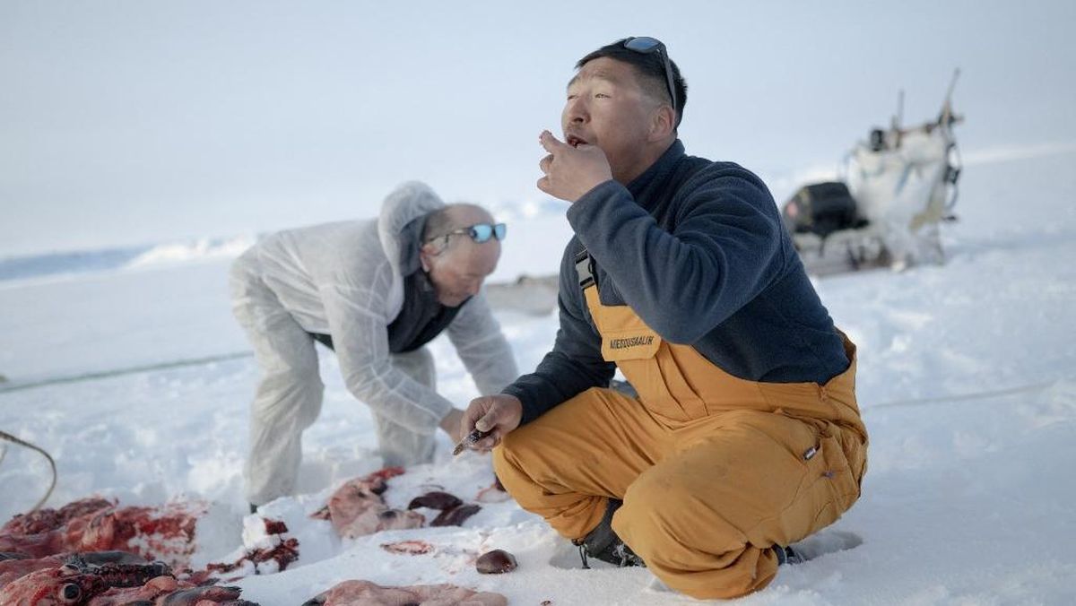 Ogah Gabung dengan AS, Apa Etnis Mayoritas di Greenland?