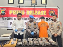 Polisi Gagalkan Penyelundupan 2,2 Kg Ganja dari Jayapura di Sorong