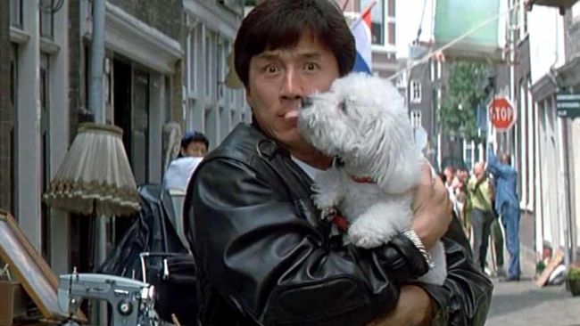 Jadwal Bioskop Trans TV hari ini (17 Februari) Who Am I. Berikut sinopsis Who Am I dibintangi Jackie Chan.