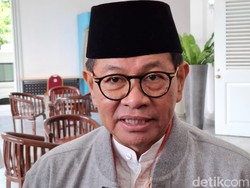 Pramono Anung Didapuk Jadi Relawan Pajak