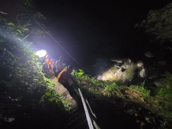 Jatuh Saat Turunkan Kayu, Tukang Las Hilang di Sungai Ayung