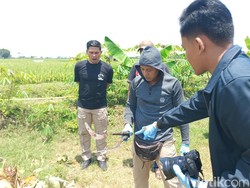 Dua Ipar Maut di Probolinggo Terlibat Carok gegara Token Listrik