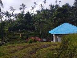 Beragam Anyaman Bambu dari Desa Angseri