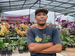 Kembang Pesat Usaha Anggrek Berkat Pinjaman KUR Mikro