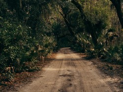 2 Tahun Hilang di AS, Turis Inggris Ditemukan Tak Bernyawa di Hutan