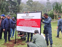 Pemerintah Segel Vila di Puncak Bogor yang Berdiri di Kawasan Hutan Produksi