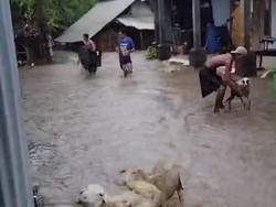 Sungai Celeng Meluap, Puluhan Rumah di Imogiri Kebanjiran