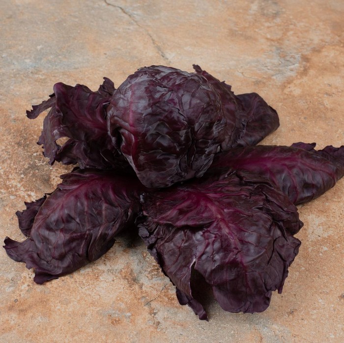 Ilustrasi bayam merah