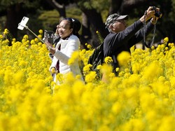 Kenapa Banyak Orang Jepang Berusia di Atas 100 Tahun? Ini Kata Gubernur Prefektur Mie