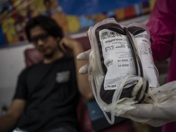 Hari Donor Darah Sedunia 2025: Sejarah, Tema, Poster, dan Ucapan