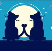 Tes Kepribadian: Gambar Anjing atau 2 Ekor Kucing yang Pertama Kali Kamu Lihat? Ini Artinya...