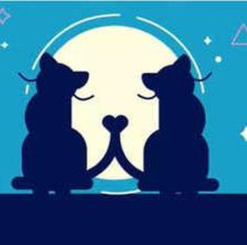 Tes Kepribadian: Gambar Anjing atau 2 Ekor Kucing yang Pertama Kali Kamu Lihat? Ini Artinya...